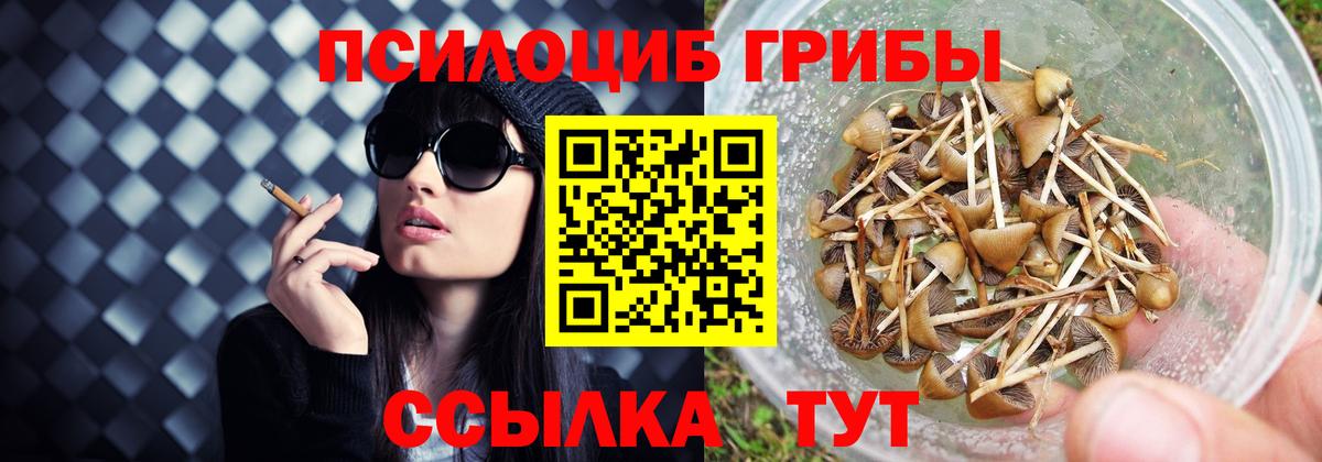 Фрязино  Галлюциногенные грибы ЛСД  Псилоцибиновые грибы мицелий  Вход с VPN 