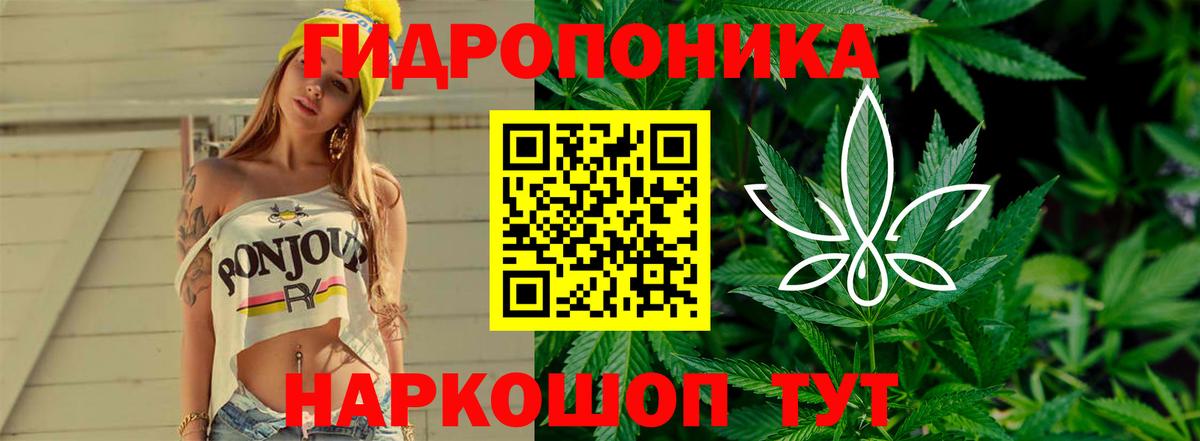 Бошки марихуана конопля Фрязино